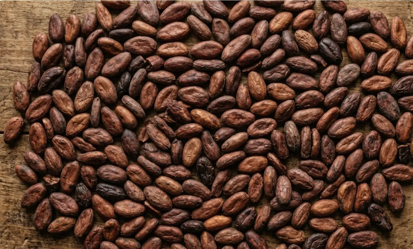 Granos de cacao, materia prima cuyo precio se disparó un 136% entre 2022 y 2024 causando la subida del chocolate